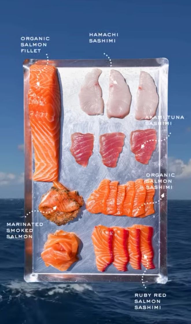 A steel tray of labelled sashimi: organic salmon, hamachi, akami tuna and smoked salmon